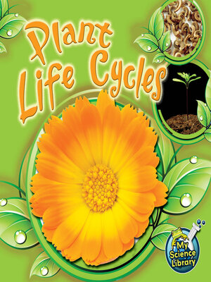 cover image of Plant Life Cycles
